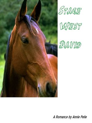 cover image of David